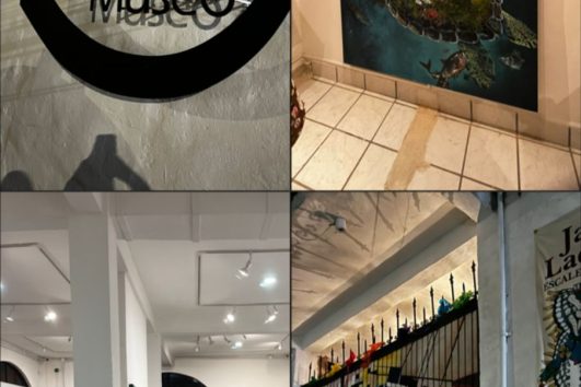 Contemporary art and cultural exhibits at Arte Vallarta Museo in Puerto Vallarta, Mexico